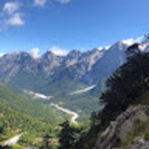 Meet your Posher, Lily